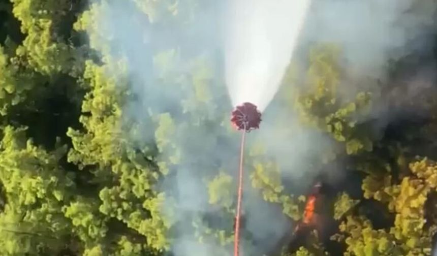Manavgat’ta Orman Yangını: Ekipler Havadan ve Karadan Müdahale Ediyor