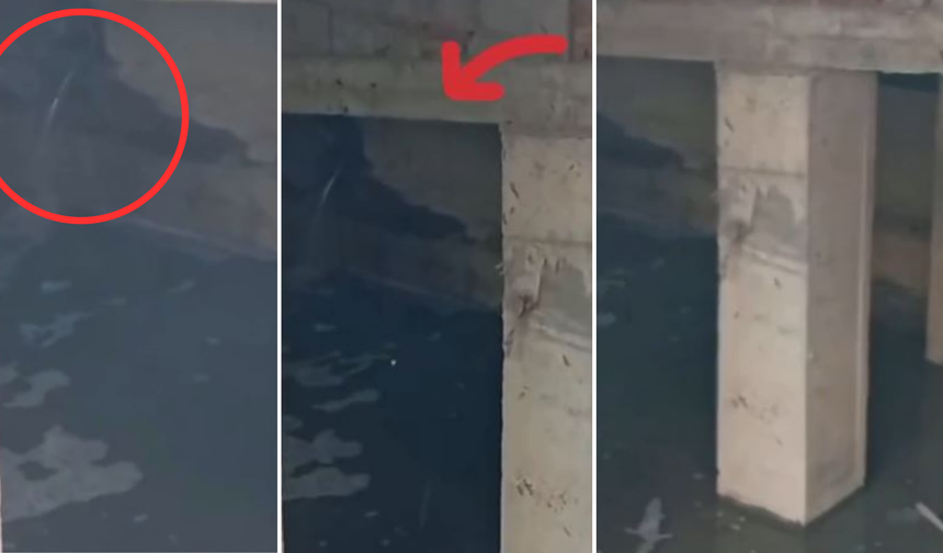 Alanyalı Turizmciden Sert Tepki: ''Bunu Yapan İnsan Olamaz''