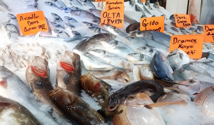 Alanya Balık Hali’nde Tezgâh Dolu, Müşteri Az