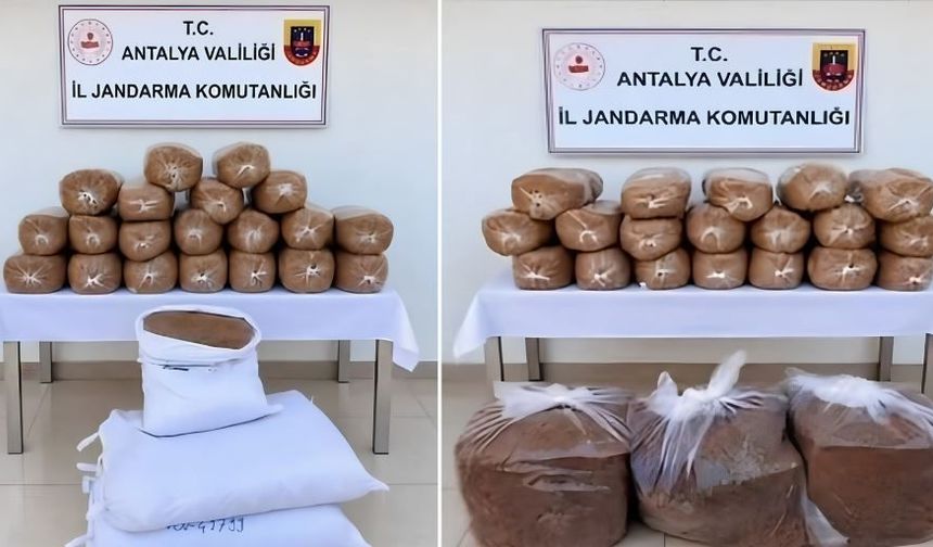 Antalya Jandarmasından 4 İlçede Kaçak Tütün Operasyonu