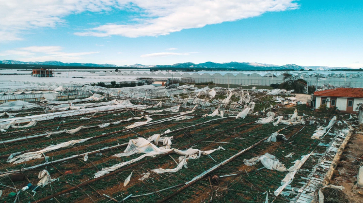 Ekran Görüntüsü 2024 12 27 123544