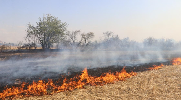 Ekran Görüntüsü 2025 02 13 115247