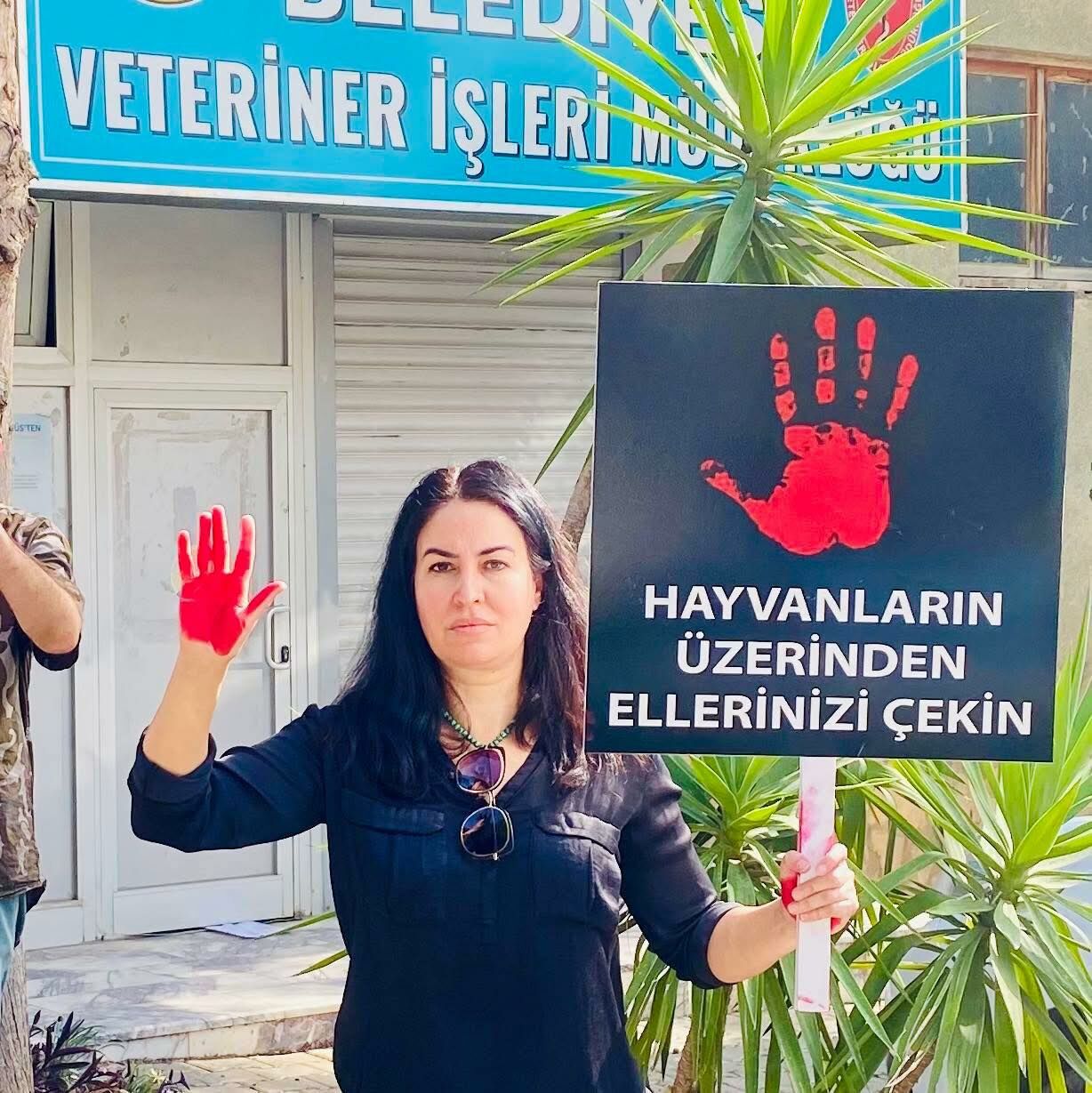 476458072 9455205994500321 2729623794261584951 N