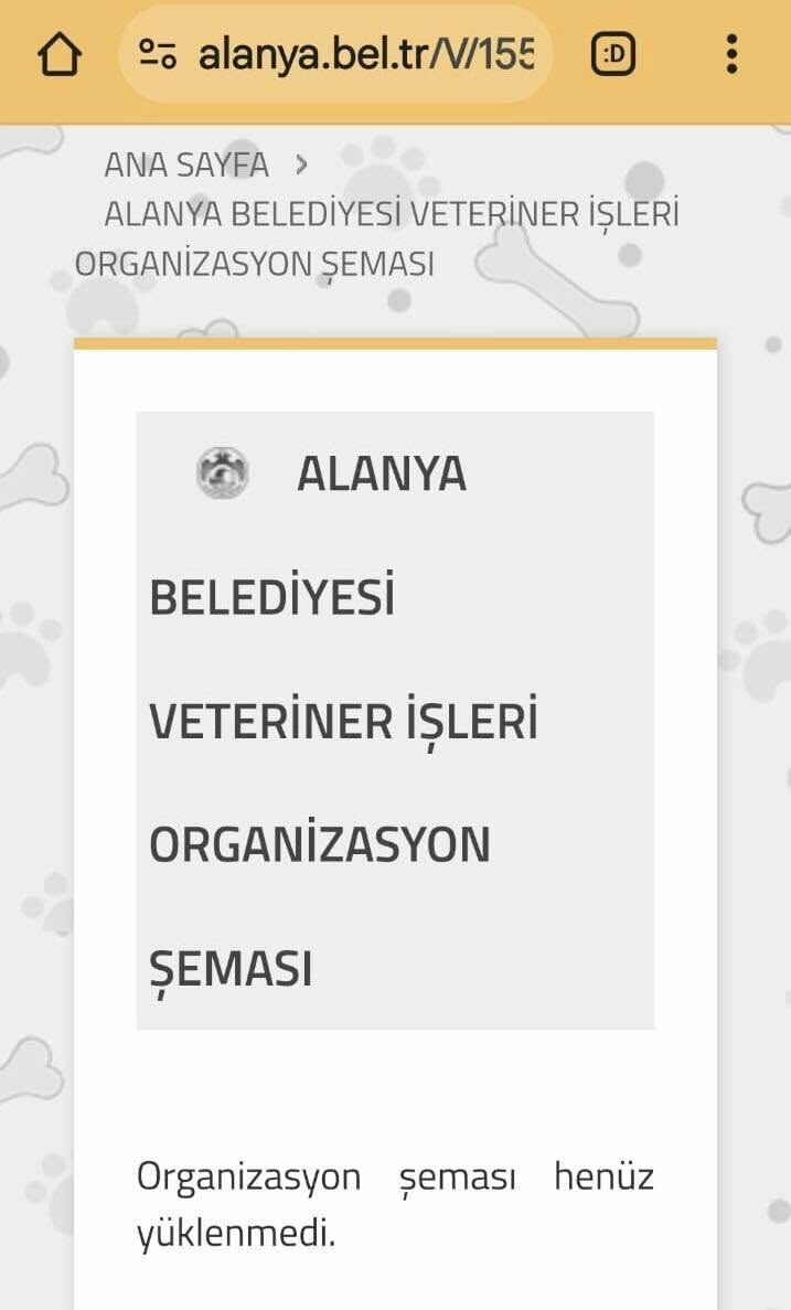 487216719 9776423739045210 6167867211483055722 N