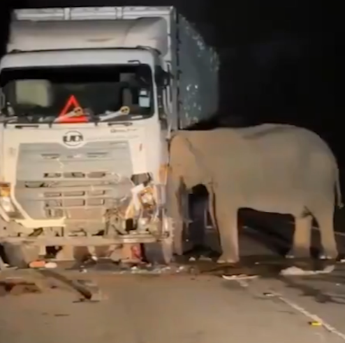 Ekran Görüntüsü 2025 05 12 133101