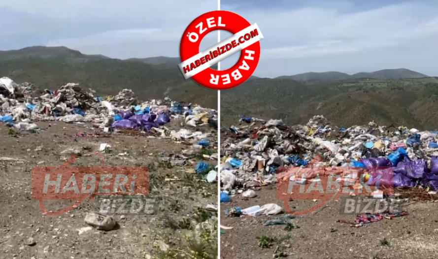 Ekran Görüntüsü 2025 05 19 152729-1