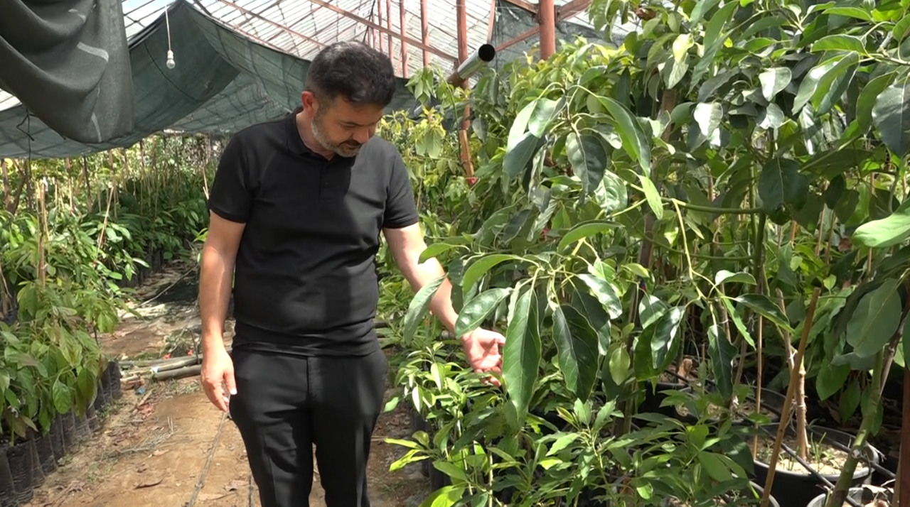 Ekran Görüntüsü 2025 05 22 102934