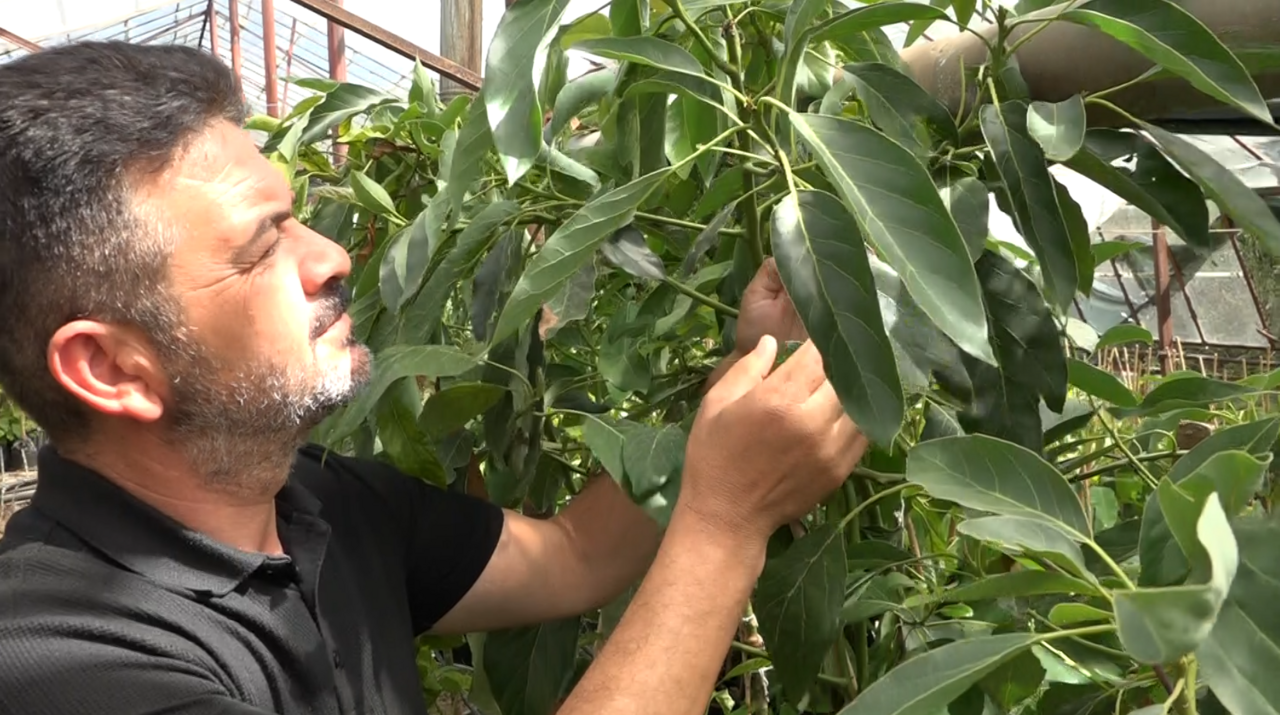 Ekran Görüntüsü 2025 05 22 102954