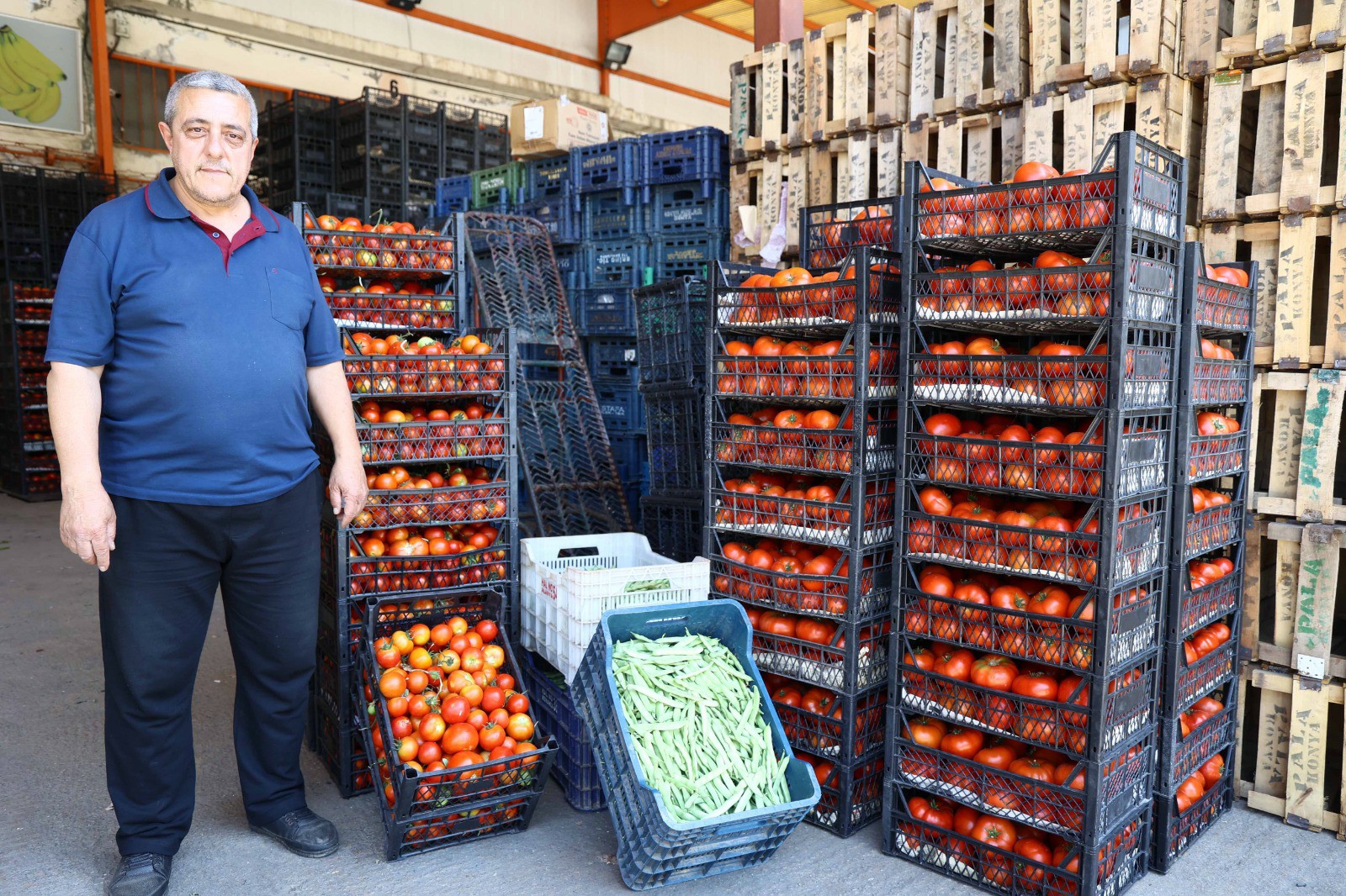 6Af2D432 5E2A 402F 9D1A B8873778Be12