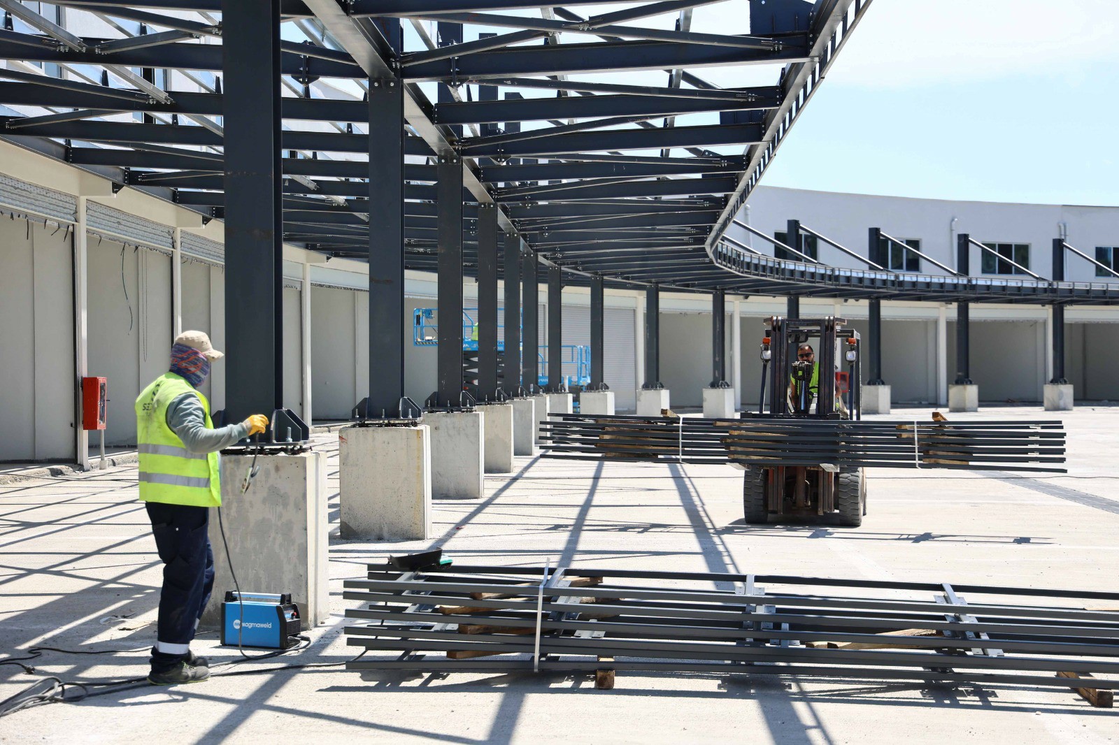 C59Ded41 F971 47E2 B7Cb E6D4443187D9