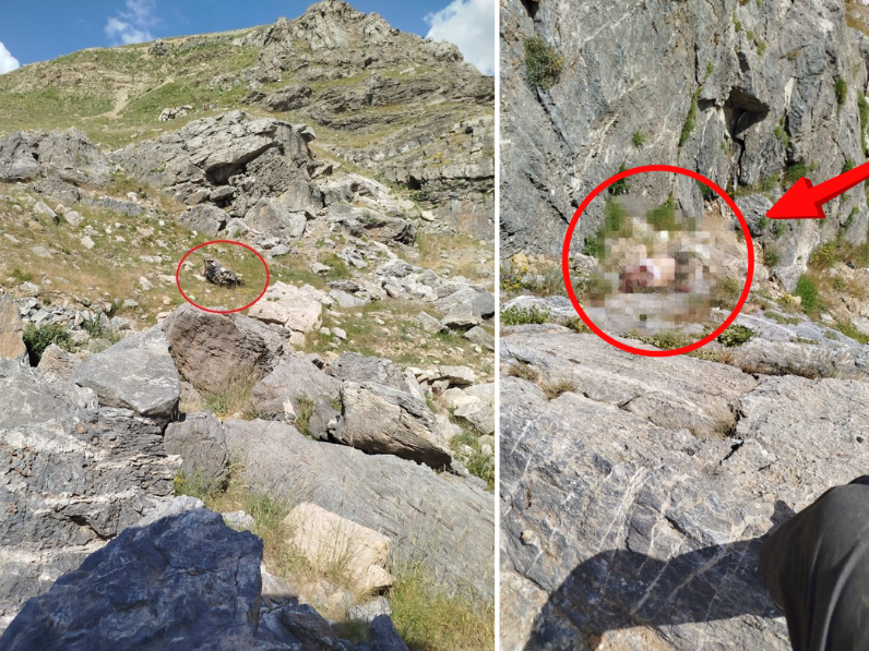 Ekran Görüntüsü 2025 06 23 164444