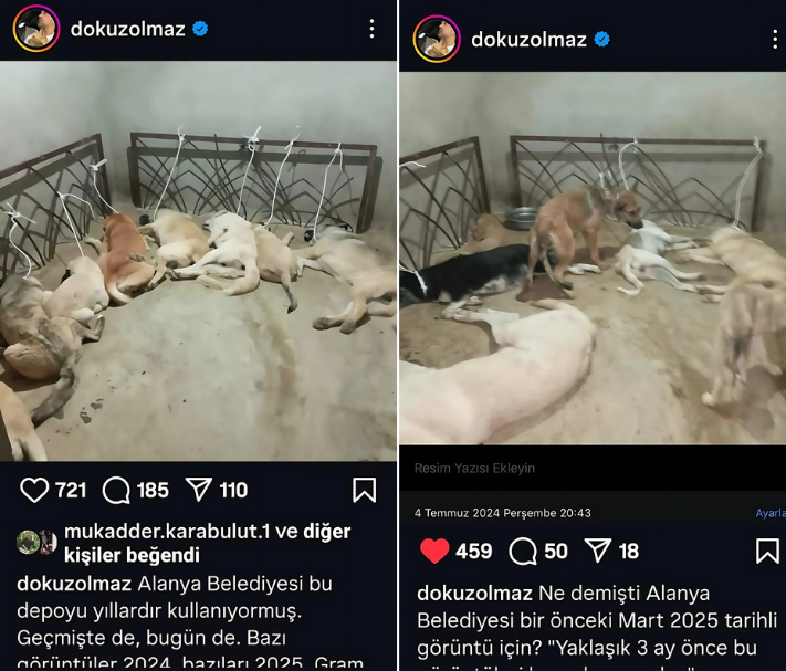 Ekran Görüntüsü 2025 06 25 142730