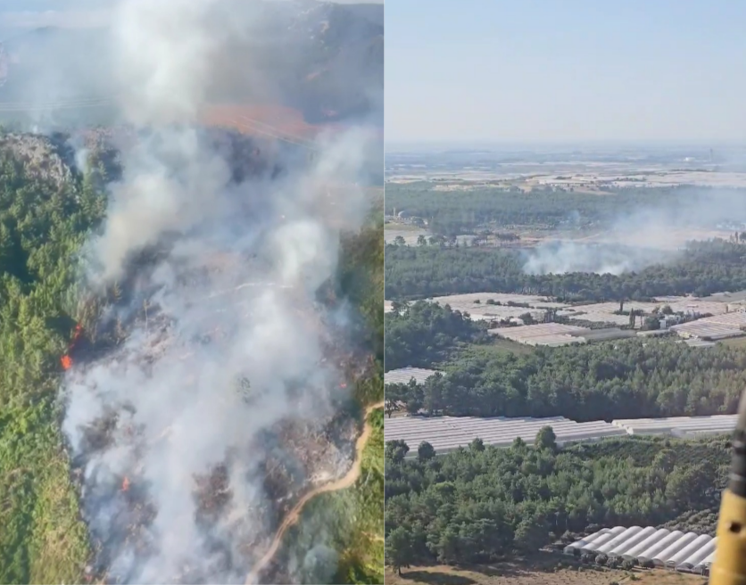 I M G 20250627 082901