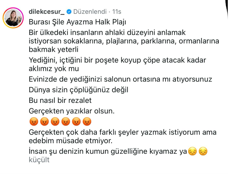 Ekran Görüntüsü 2025 07 25 091441