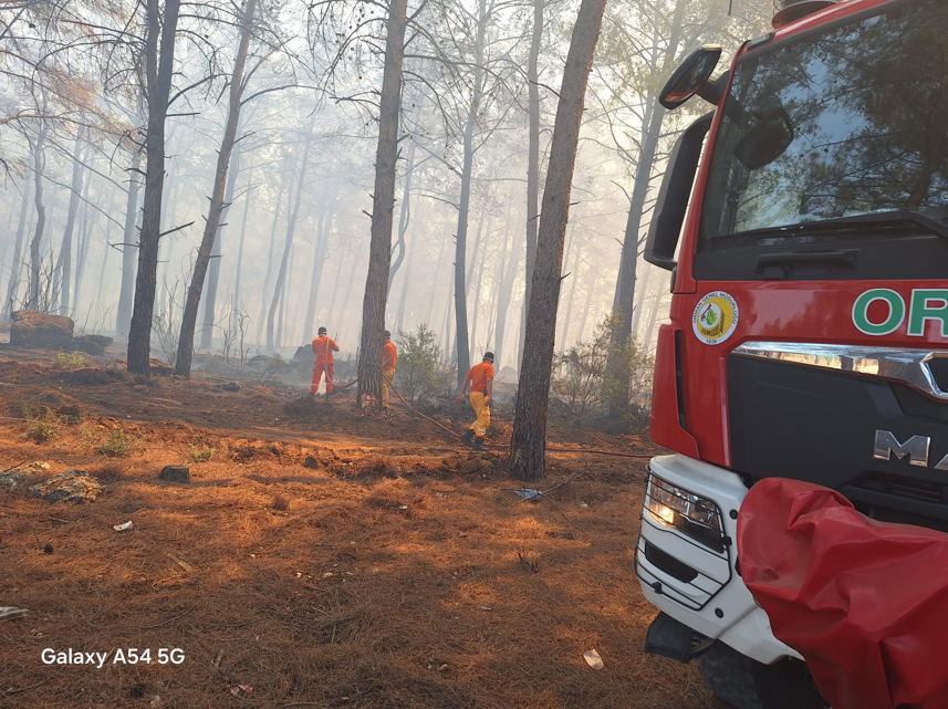 Ekran Görüntüsü 2025 07 25 110457