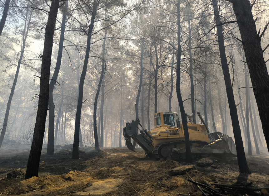 Ekran Görüntüsü 2025 07 25 110505