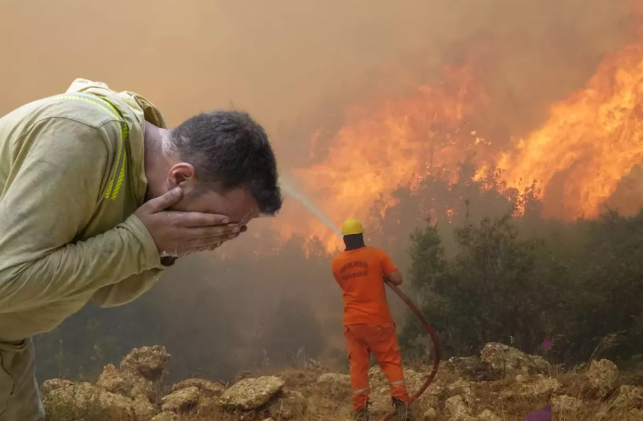 Ekran Görüntüsü 2025 07 25 152423