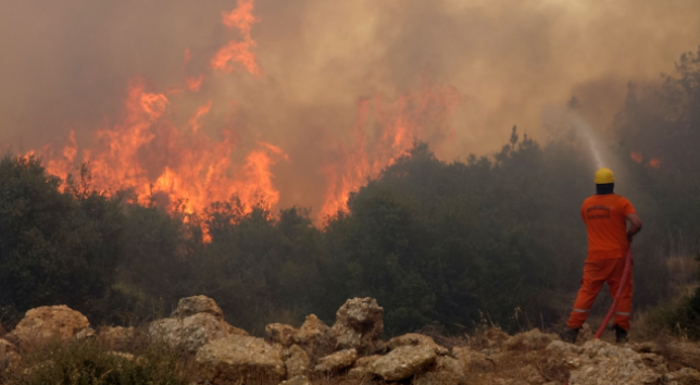 Ekran Görüntüsü 2025 07 25 152439