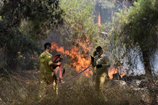 Ekran Görüntüsü 2025 07 25 152454