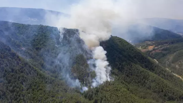 Ekran Görüntüsü 2025 07 25 152500