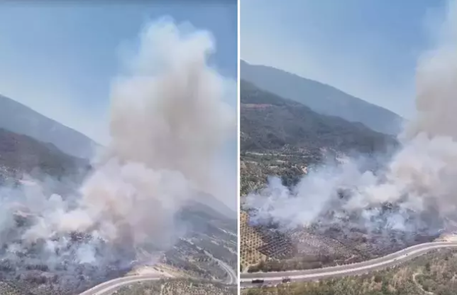 Ekran Görüntüsü 2025 07 25 152510