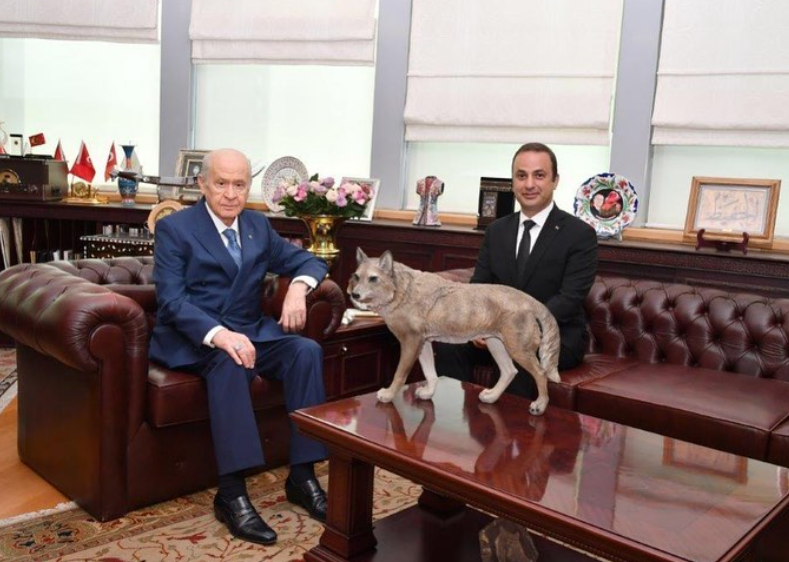 Ekran Görüntüsü 2025 07 31 094507