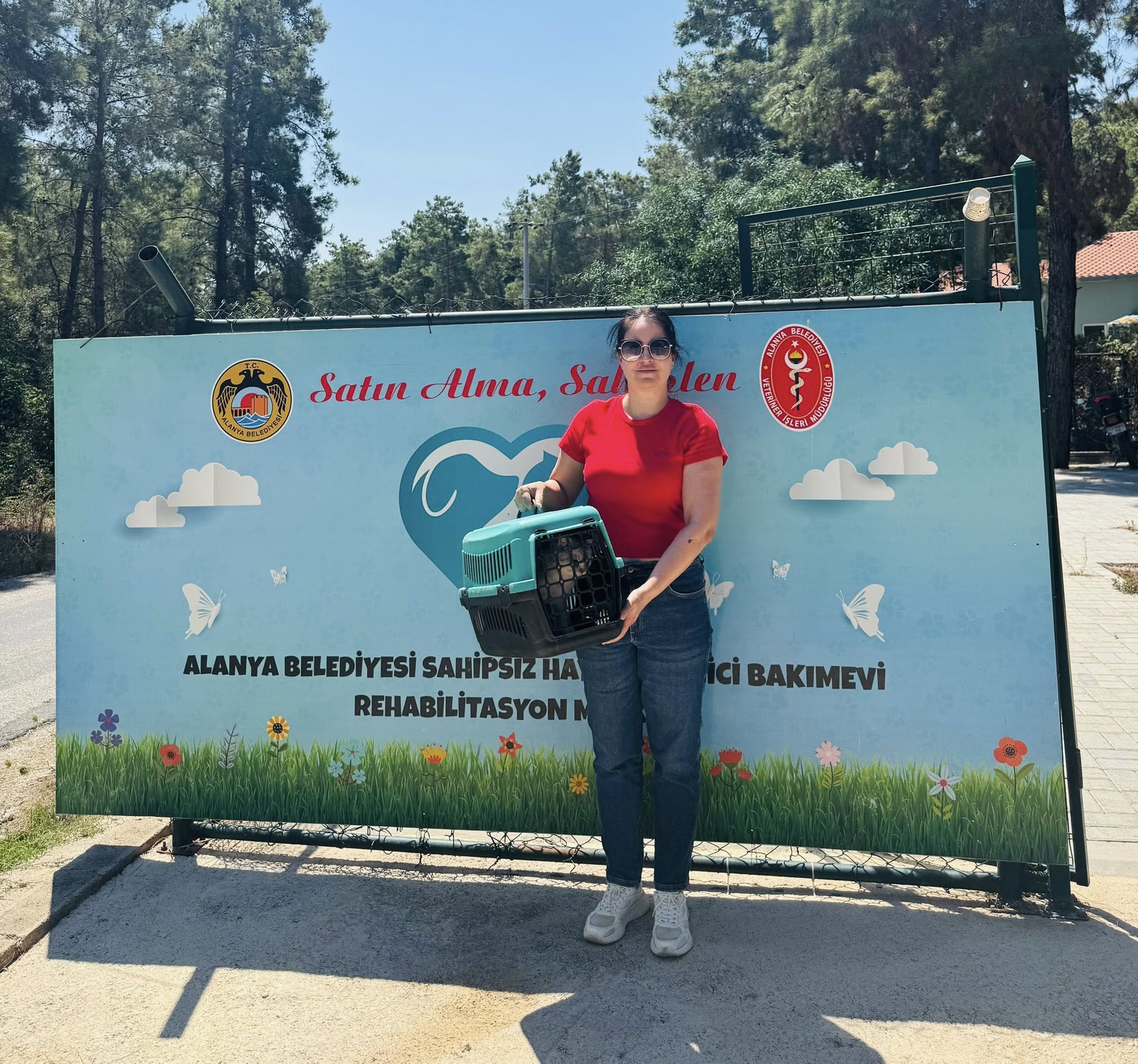 520779267 24439586132302395 5229814204970140961 N