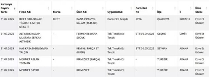 Ekran Görüntüsü 2025 08 01 130844
