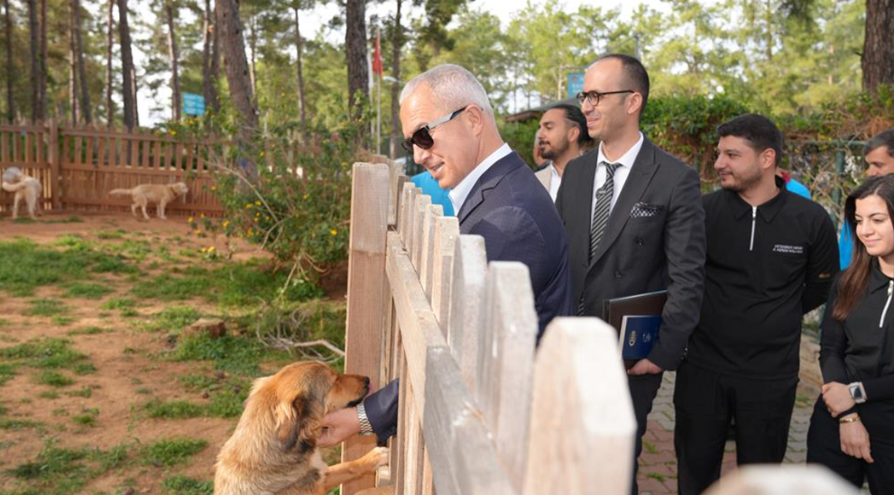 Ekran Görüntüsü 2025 08 04 114824