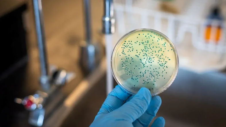 Ekran Görüntüsü 2025 08 06 111528