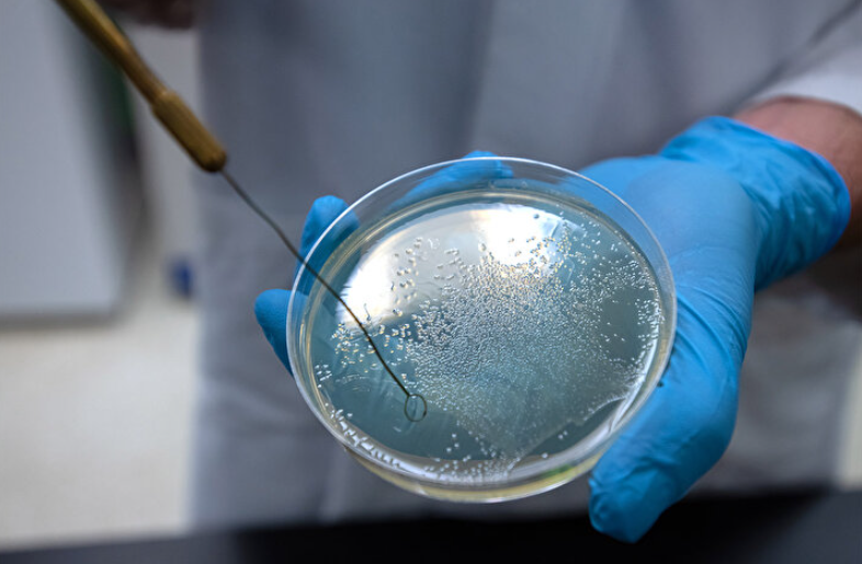 Ekran Görüntüsü 2025 08 06 111539