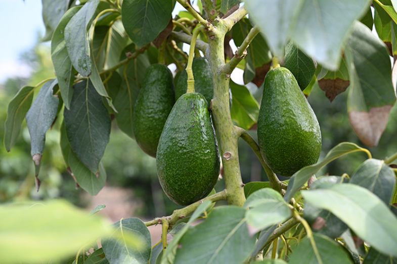 Ekran Görüntüsü 2025 08 06 123338