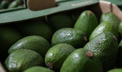 Ekran Görüntüsü 2025 08 06 123344