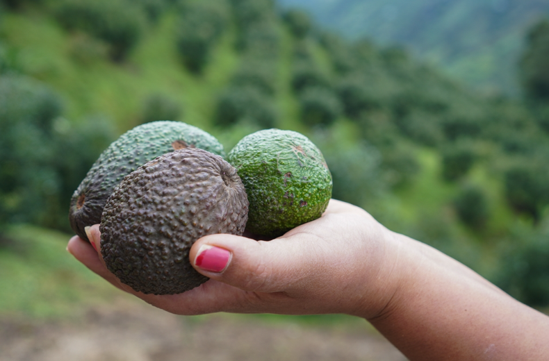 Ekran Görüntüsü 2025 08 06 123356