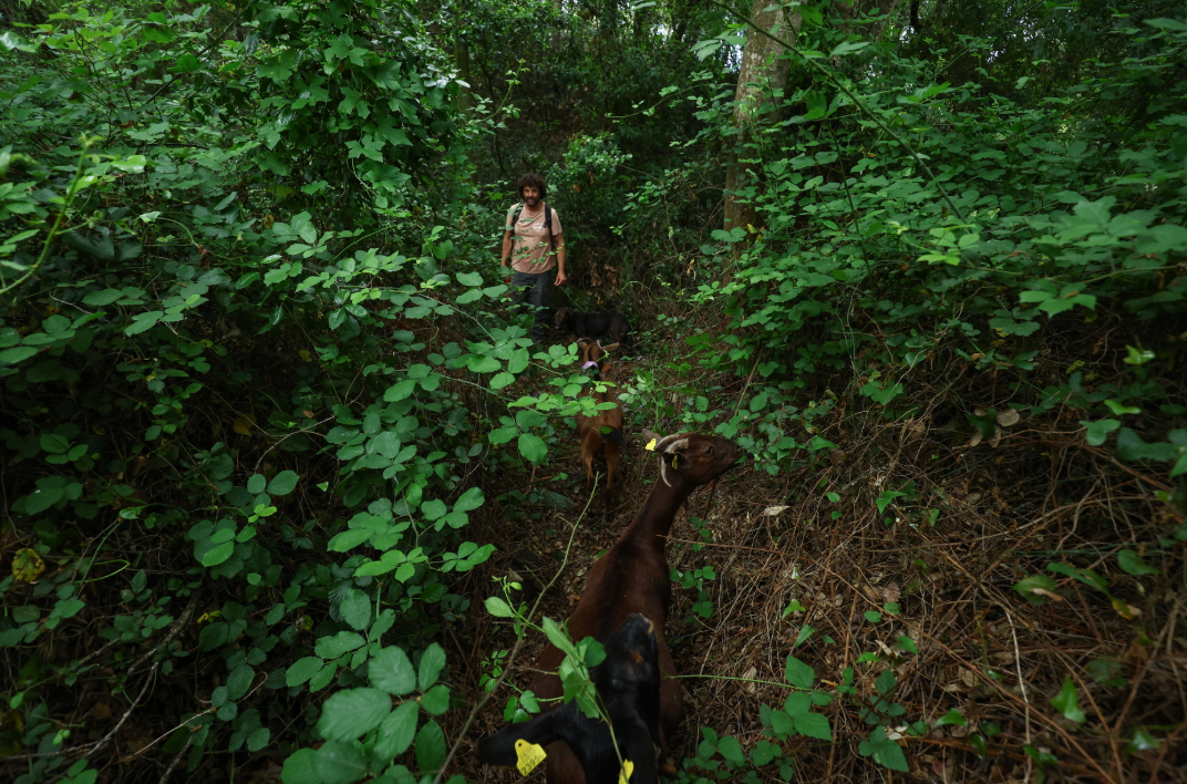 Ekran Görüntüsü 2025 08 08 232755