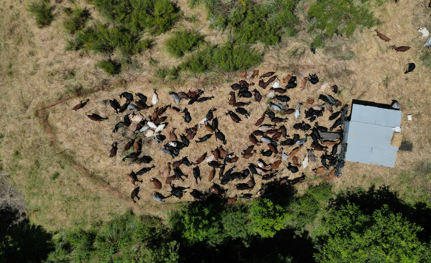 Ekran Görüntüsü 2025 08 08 232805