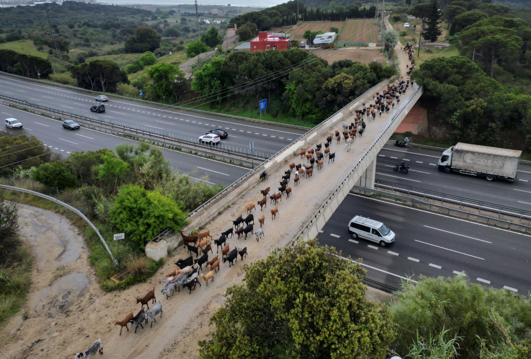 Ekran Görüntüsü 2025 08 08 232820