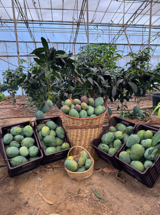 Ekran Görüntüsü 2025 08 17 131438