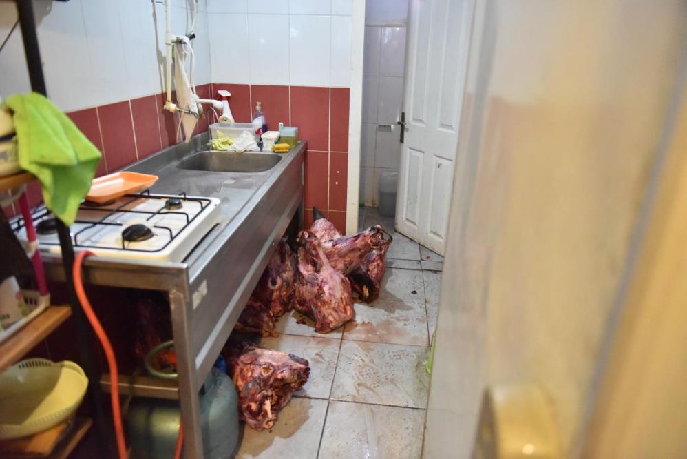 Ihaaaaaaaaaaaaaaaaaaa