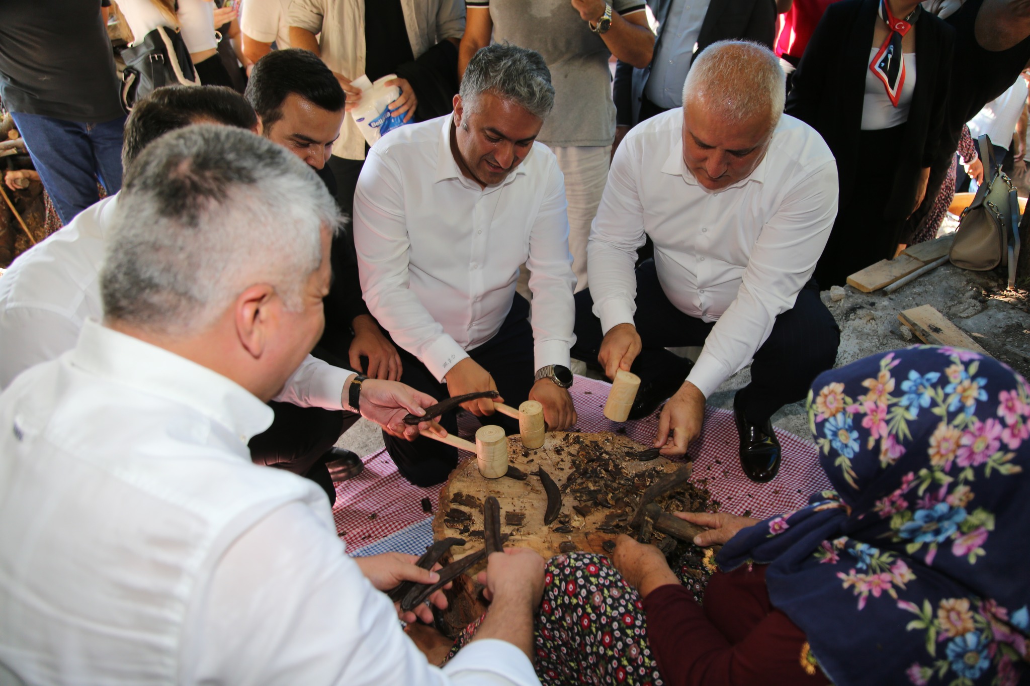 545351969 768158632613811 2811406569497761342 N-1