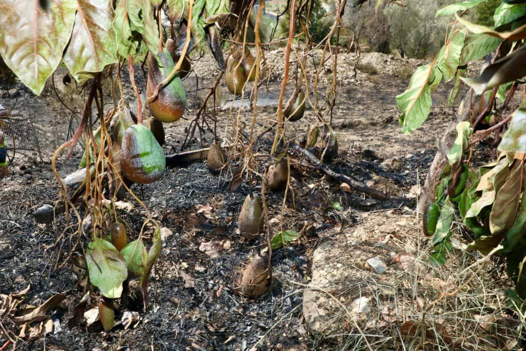 549189973 799174769134565 49548070195052621 N