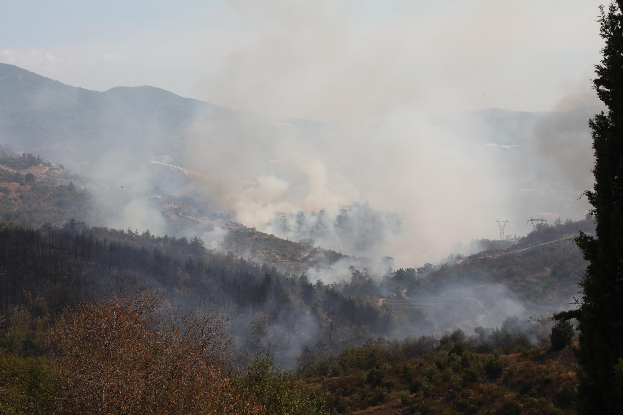 549235513 798705919181450 405709336871750522 N