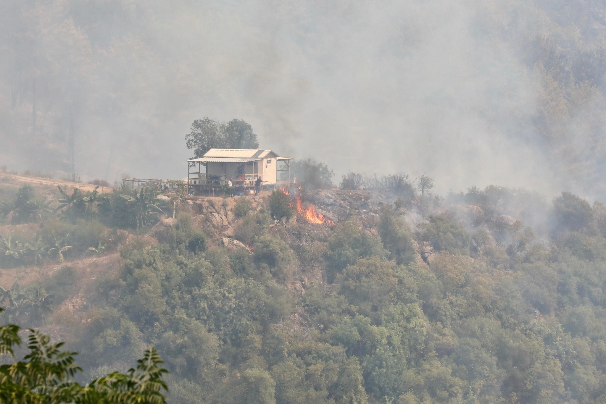 550436642 798706085848100 5322368258559628322 N