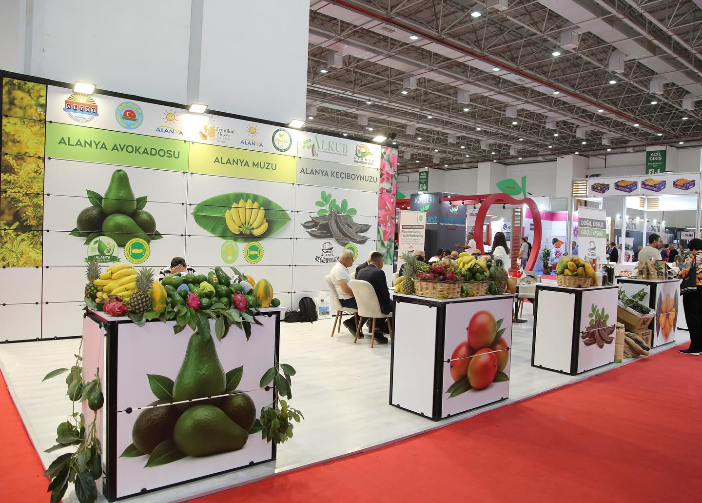 550993828 18020537540753840 5352503484434441346 N