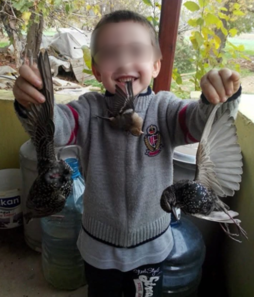 Ekran Görüntüsü 2025 09 16 110842