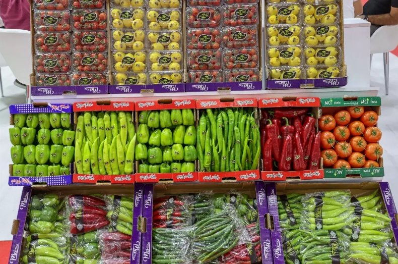 Ekran Görüntüsü 2025 09 17 085219-1