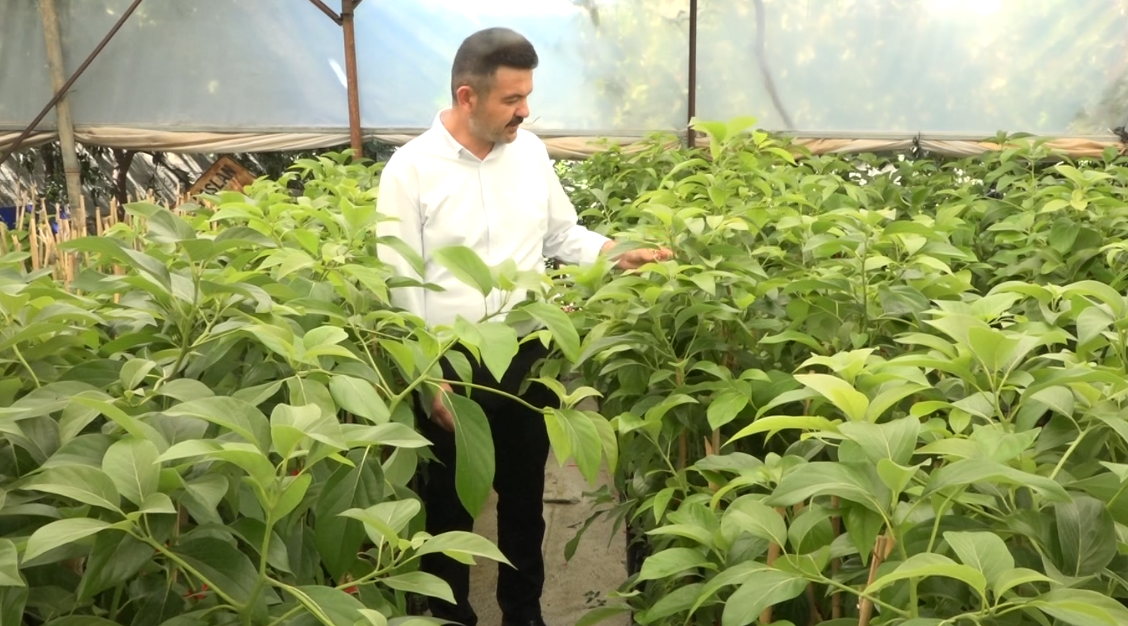 Ekran Görüntüsü 2025 09 26 171207