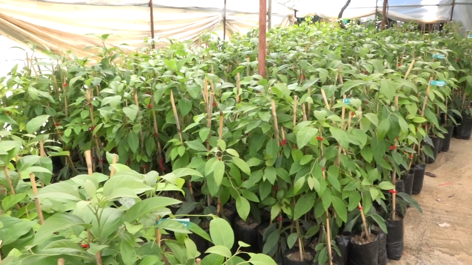 Ekran Görüntüsü 2025 09 26 171217