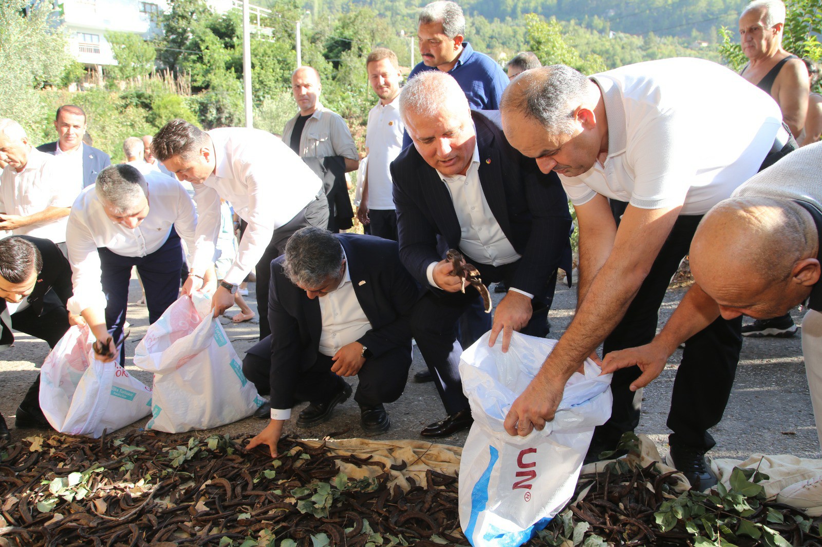 Ffef58Ef 7241 45Be Bcc2 9B87D7932C2D