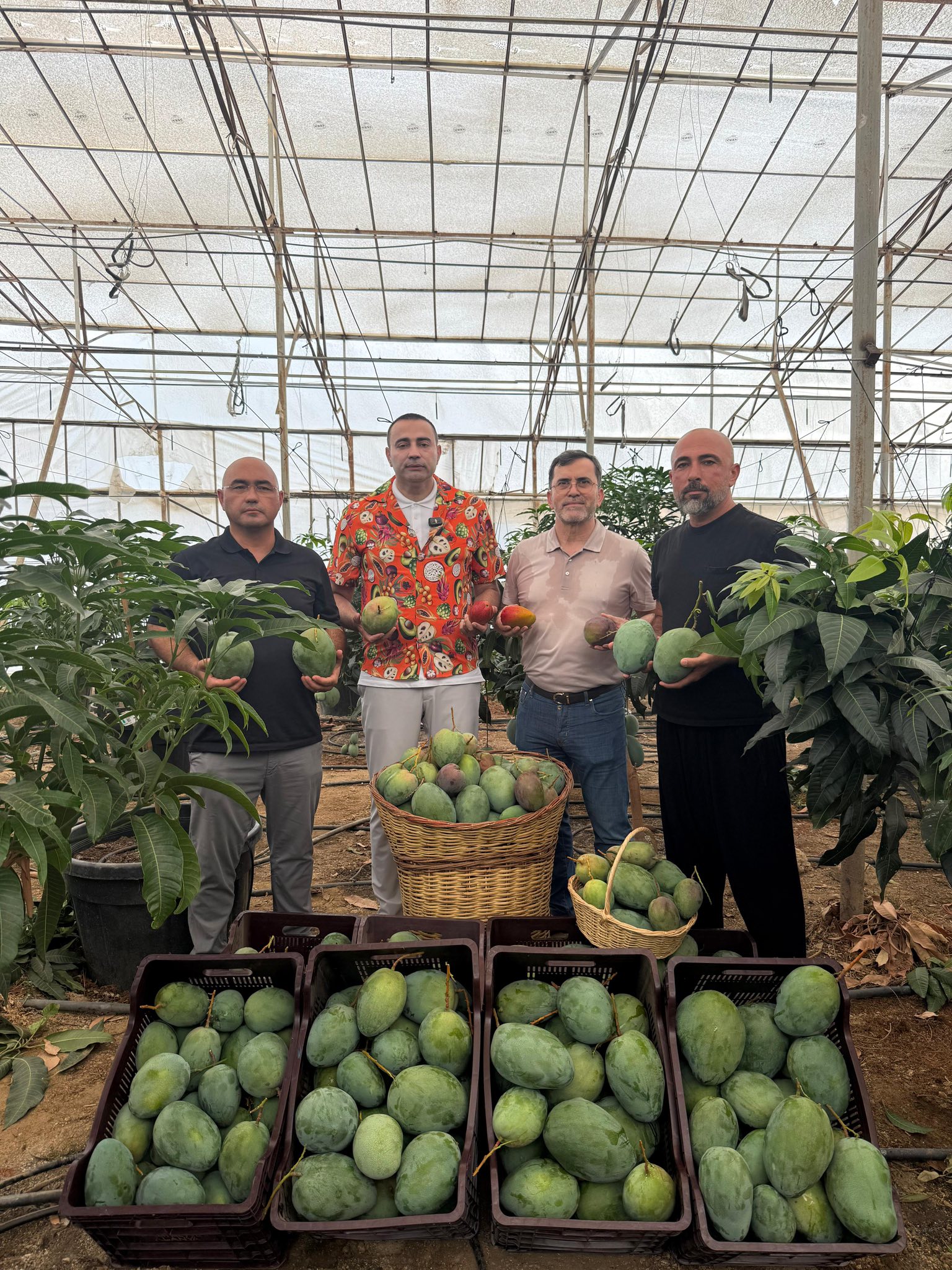 533141403 711543488587926 3311797286171427362 N